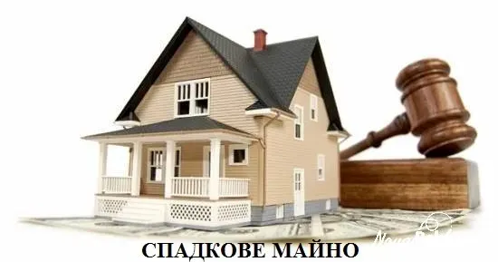 Фото Опендатабот Кількість використаних нотаріальних бланків зросла на 2,6 млн за рік. Проте це все ще менше, ніж до початку повномасштабної війни. Однією з найпопулярніших нотаріальних операцій стало оформлення свідоцтв про право на спадщину.